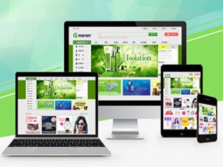 企業(yè)雙版本電腦版+手機版效果圖設(shè)計普通版